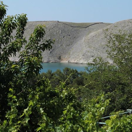 Family Friendly Seaside Apartments Vlasici, Pag - 4319 エクステリア 写真