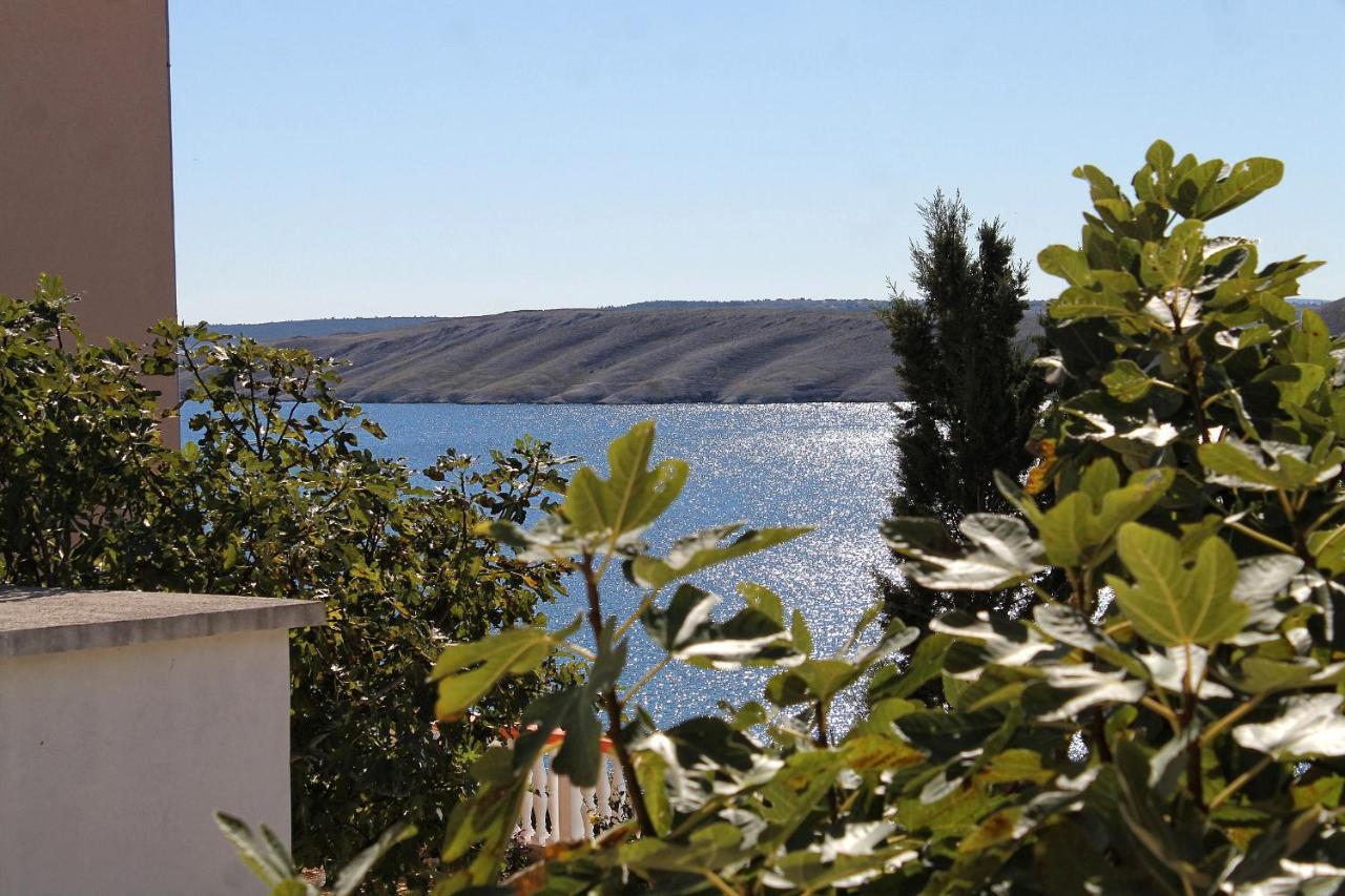 Family Friendly Seaside Apartments Vlasici, Pag - 4319 エクステリア 写真