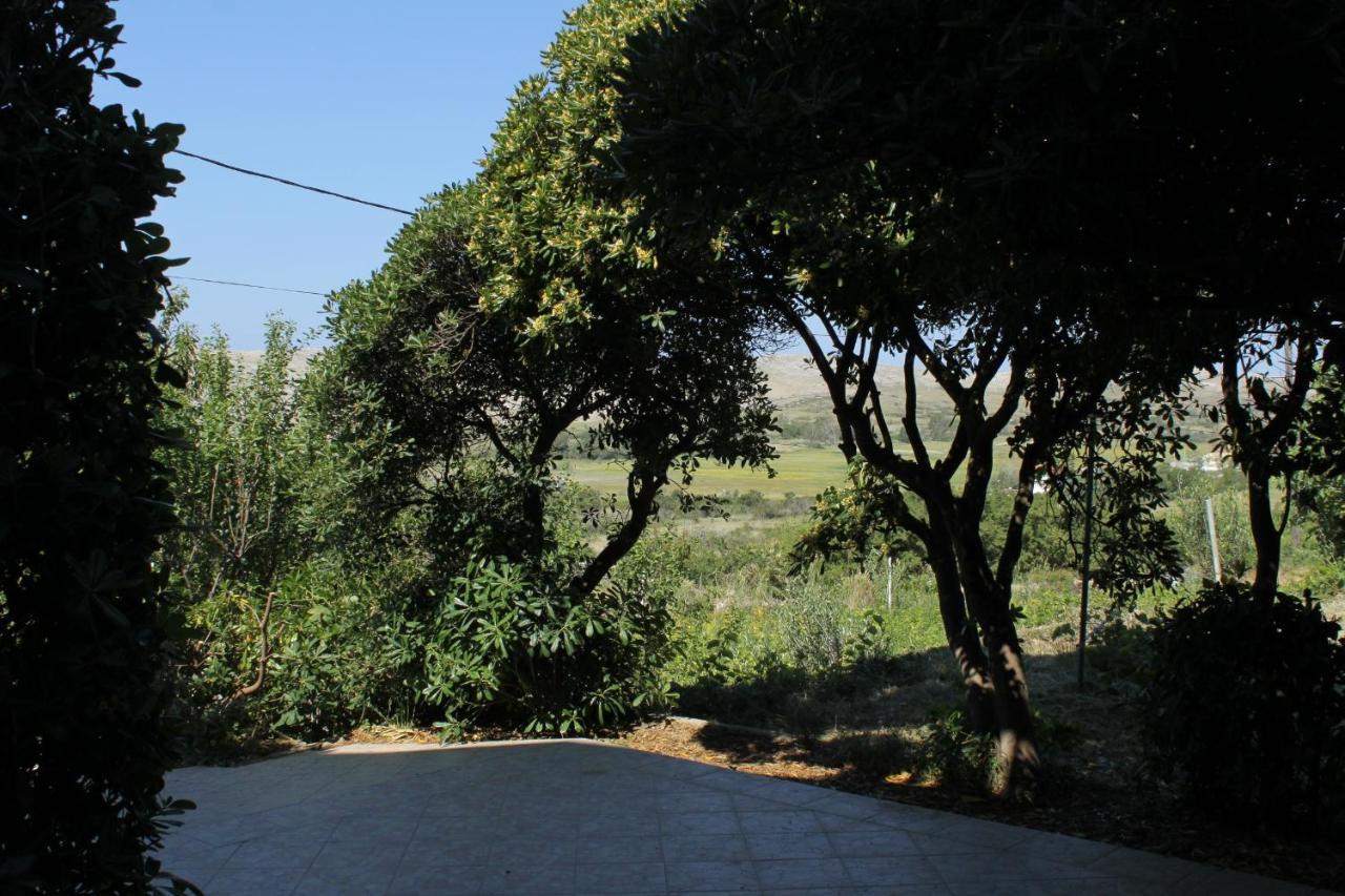 Family Friendly Seaside Apartments Vlasici, Pag - 4319 エクステリア 写真