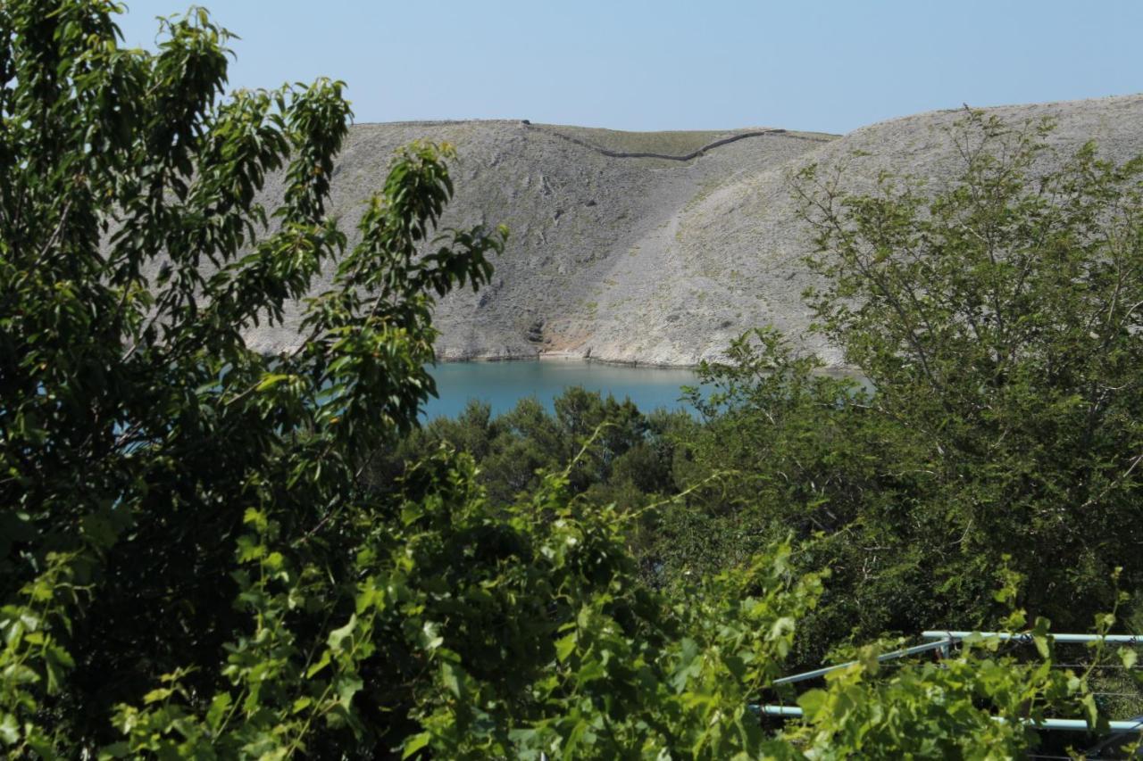 Family Friendly Seaside Apartments Vlasici, Pag - 4319 エクステリア 写真